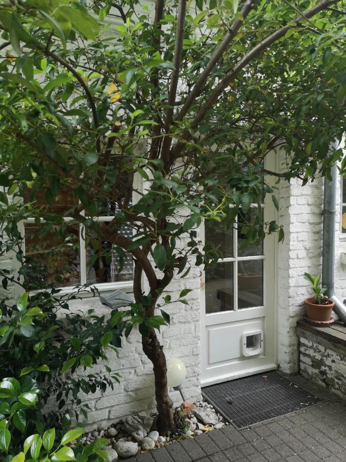 May-Apartment Koeln Zentrale Ferienwohnung 외부 사진